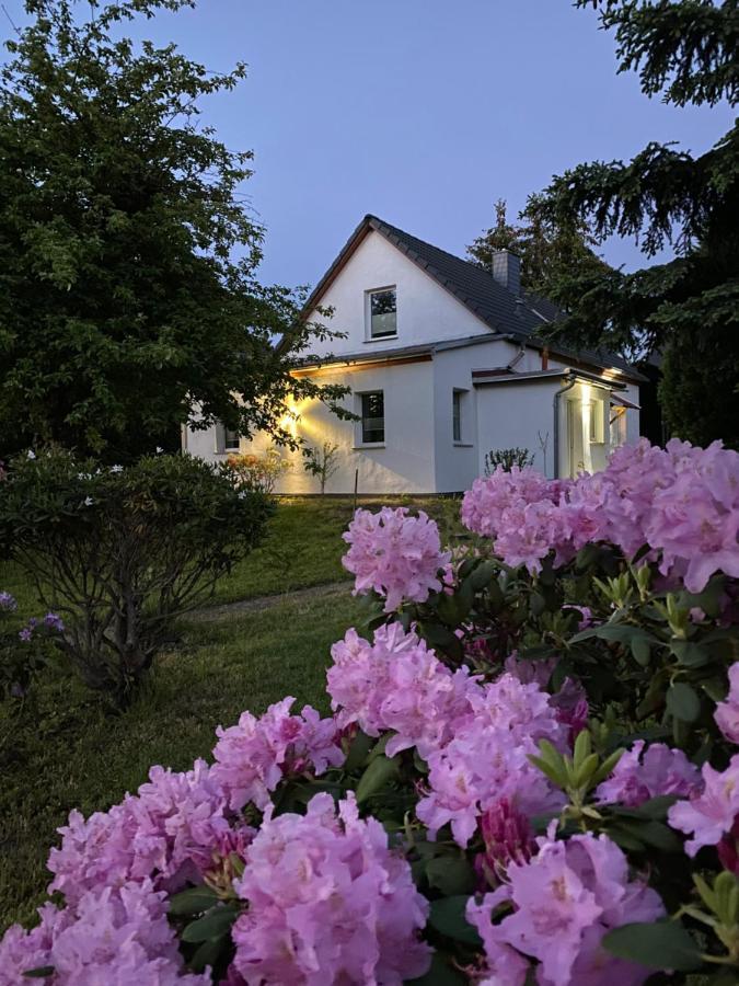 Gemuetliches Ferienhaus Spremberg Eksteriør bilde